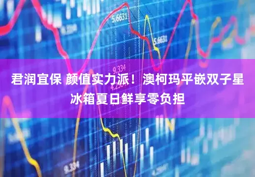 君润宜保 颜值实力派！澳柯玛平嵌双子星冰箱夏日鲜享零负担