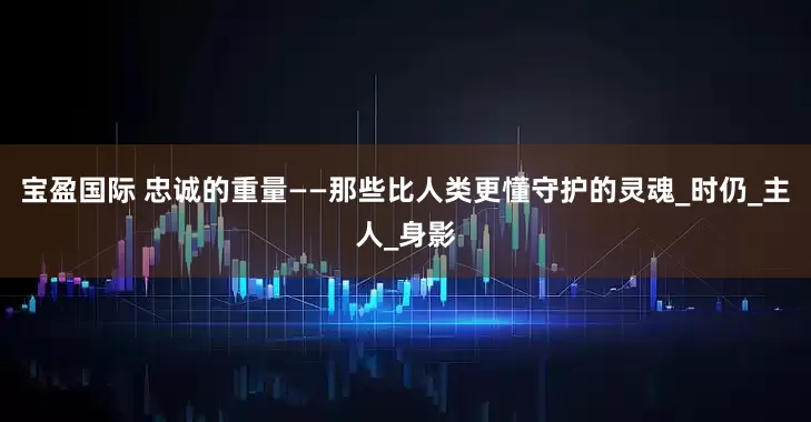 宝盈国际 忠诚的重量——那些比人类更懂守护的灵魂_时仍_主人_身影